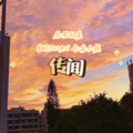 ROMAN - 传闻