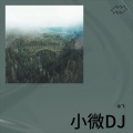 余飞 - 小微