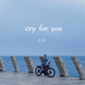 李OK - cry for you
