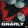 Gnarly (Explicit)