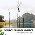 Música Relajante Para Leer、Rain Wonder、Música Para Trabajar - Salpicaduras Sorpresas