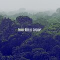 Tranquil Woodland Soundscape