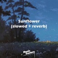 Music Factory - Sunflower