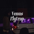 茶玖 - Venus Flytrap