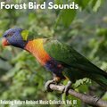 Forest Bird Sounds - Relaxing Nature Ambient Music Collection, Vol. 01