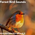 Forest Bird Sounds - Relaxing Nature Ambient Music Collection, Vol. 04
