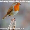 Sean Calmness Studio - Endless Night Prairies Soundtrack