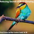 Isla Wagner Calm Sound Collection - Insatiable Cougar Screech