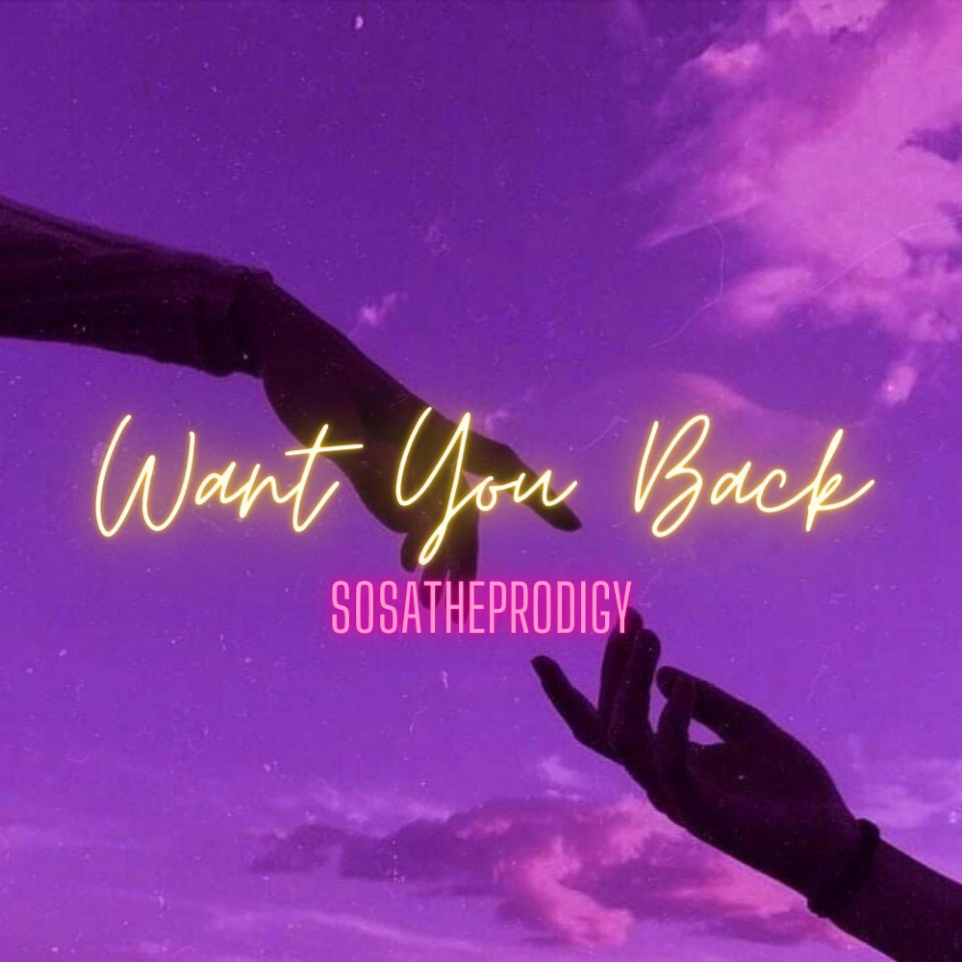 sosatheprodigyy - Want You Back