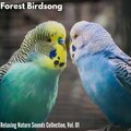 Adriana Bauer Nature Collective - Bird Songs