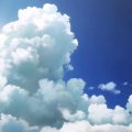 四月 - 花に亡霊