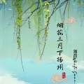 薄荷 - 烟花三月下扬州