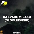 Dikyo Sopan - DJ EVADE MILAKU (SLOW REVERB)