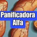 AtilaKw - Panificadora Alfa