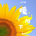 Summer - 董小姐
