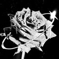 Tmæ - Por Siempre