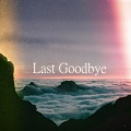 Last Goodbye