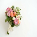 Harsh Khaire - Beautiful in white