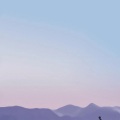 都会走的无一例外