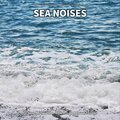 ** Sea Noises for Sleep, Relaxation, Wellness, to Release Tension