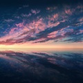 陈令韬 - 太阳花