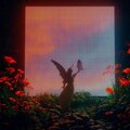 Rejekt - Can't Be Saved