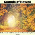 Oliver Schulz - Brisk Wind Soft Rain