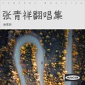 张青祥 - 其实都没有