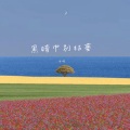 黑暗中别枯萎