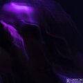 VISION (Explicit)
