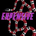 Expensive (Explicit)