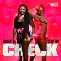 Check (Explicit)