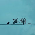 苏星婕 - 孤雏