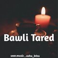 veer.music8、ashu_b0ss - Bawli Tared (Slowed+Reverb)