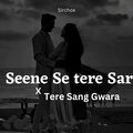 SirChox - Terr Sang Gawara Seene Se tere Sare ko (Chillout Mashup)