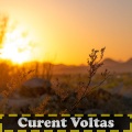 Curent Voltas