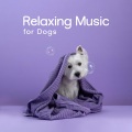 Relaxing Music for Dogs (Pets Sleep, Have a Good Rest, להרגיע כלב)