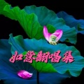 如意 - 不愿红尘错过你 (Live)