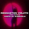 Levis Remix - Reggaeton viejito para perrear hasta el subsuelo (Remix)