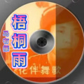 马有振 - 梧桐雨