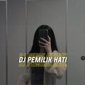 Kang Bidin - Dj Pemilik Hati