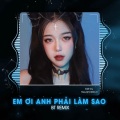 Qinn Media、Duong Minh Tuan、DC Tam - Em Ơi Anh Phải Làm Sao (BT Remix)