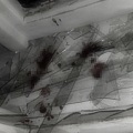 cholorofilm - LOVESTRUCKED (Explicit)