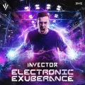 Invector、Disarray - Electronic Exuberance (Extended Mix)