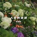梧桐雨 - 你是我的温柔