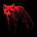 The Prodigy - Nasty