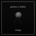 crazy (Gustixa Remix)