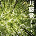 はじめやよい - 曲がりくねった道
