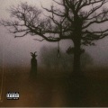 Jason Grey、Raury - Honestly (Freestyle)(feat. Raury)(Explicit)