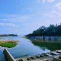 知行 - 红日